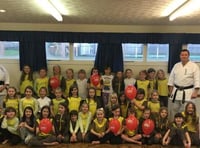 Brownies learn karate for Sport Relief