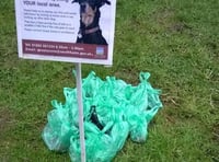 Church 'abused' by irresponsible dog owners with problem areas across Kingsbridge and Salcombe