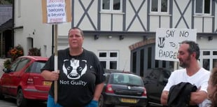 Anti-cull badger activism begins, as local farmers say they are 'worried about intimidation'