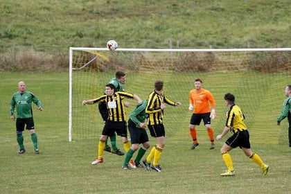 Premier Division Ivybridge Town too strong despite brave Bees' best efforts
