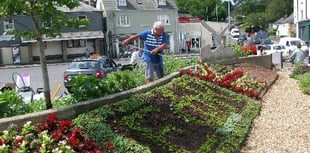 Kingsbridge In Bloom win Gold in Champion of Champions class