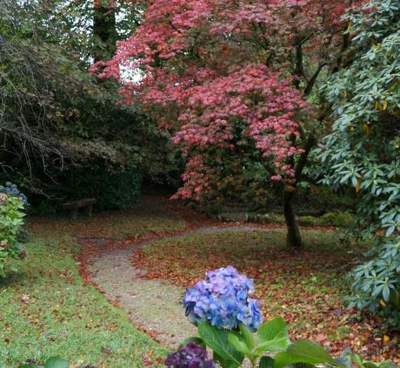 Mansion on the edge of the moor opens its gates for the best of autumn colour this weekend