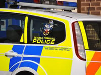 Police appeal for car used in machete attack