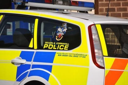 Police appeal for car used in machete attack