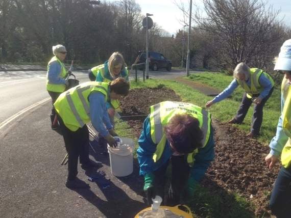 Kingsbridge In Bloom volunteers start summer planting ahead of judging