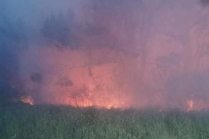 Fire crews continue to battle large gorse blaze on coast
