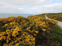 AONB to run a series of walks for people aged 55+