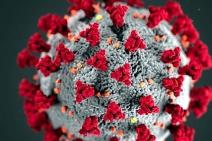 Latest virus-related death figures released