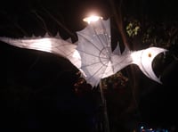 Floral Dances, Glove Hanging,  and Samba delight Fair goers