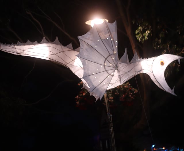 Floral Dances, Glove Hanging,  and Samba delight Fair goers