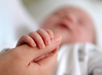 Fertility rate rises in South Hams