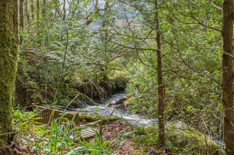 nant y garreg