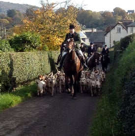 Minehead Harriers hunt hunting hounds fox hunting foxhounds