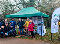 Volunteers help plant cherry trees