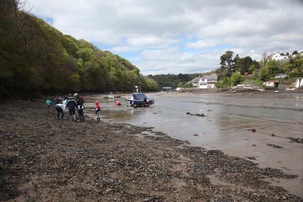 Yealm Estuary