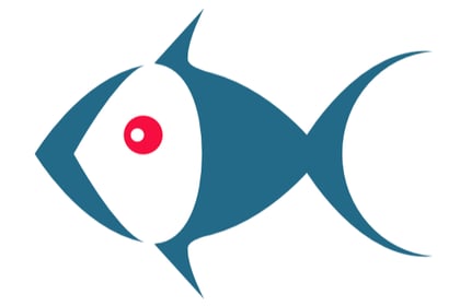 Fish company wins share of international funding 