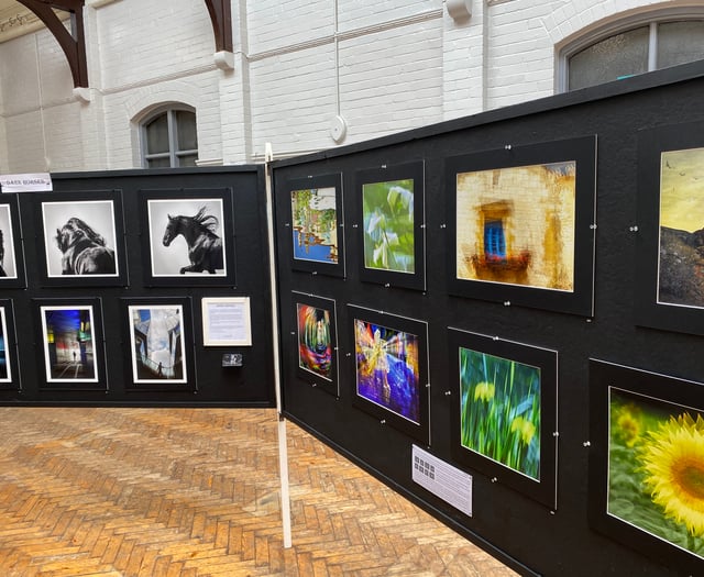 Kingsbridge Camera Club showcase their work