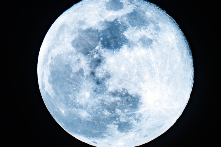 A Blue Moon.
Photo by Eileen Rollin on Unsplash