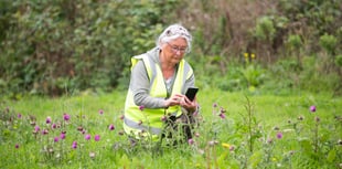 Pioneering conservation project launches at Sherford 