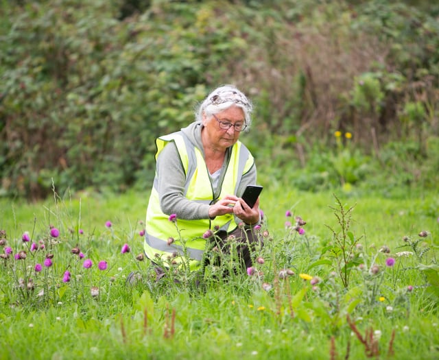 Pioneering conservation project launches at Sherford 