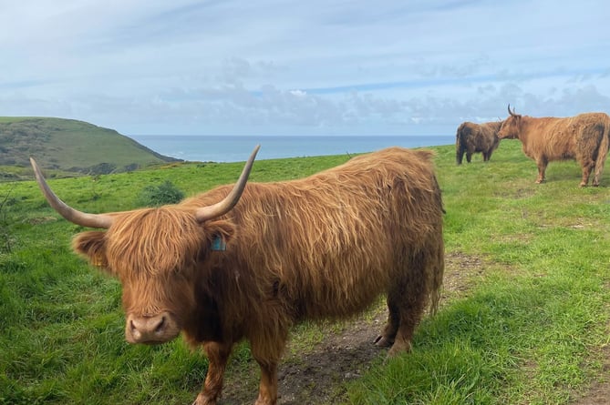 South West Coast Path