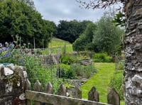 Town Council wants to unite gardeners with garden owners