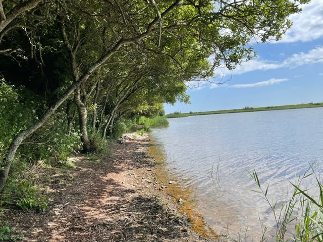 Slapton Ley to celebrate nature next month