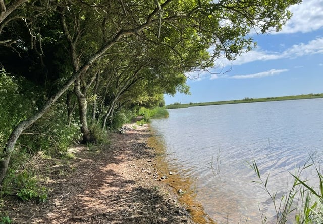 The waters of Slapton Ley, close to the Nature Trail