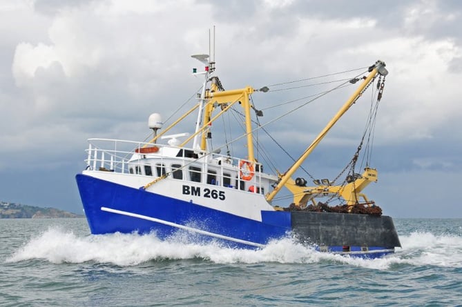 The Joanna C sank in November 2020