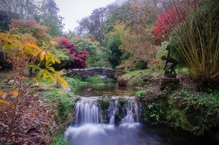 Lukesland Autumn Stream