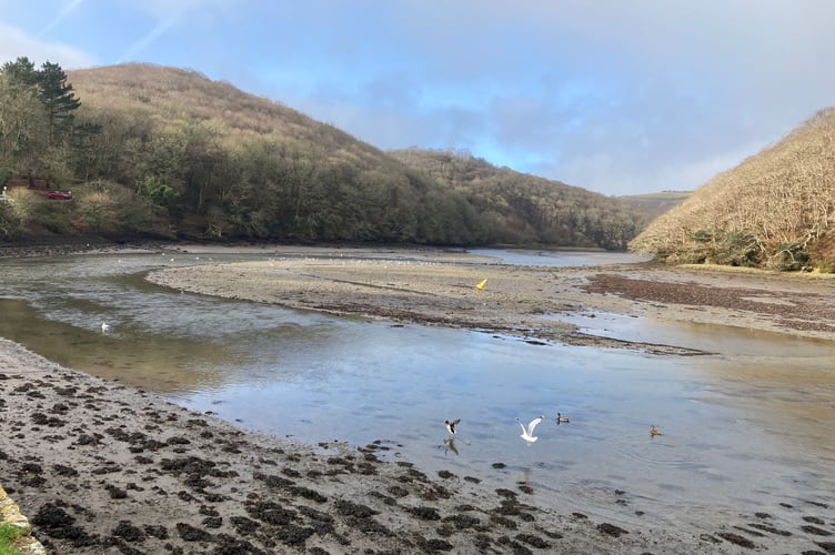 The valley of the River Looe