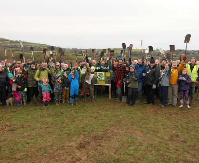 Hope Wood unveiled in South Brent