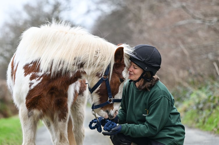 Bisland Boo Boo - Mare and Foal Sanctuary