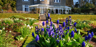 Visit beautiful gardens and raise funds for hospice